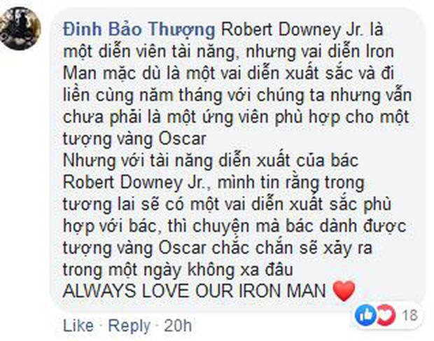 Khán giả ENDGAME sôi máu vì Người Sắt Robert Downey Jr. vắng mặt trong danh sách ứng cử Oscar - Ảnh 8. Khán giả ENDGAME sôi máu vì Người Sắt Robert Downey Jr. vắng mặt trong danh sách ứng cử Oscar - Ảnh 8.