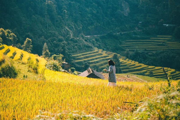 “60 năm cuộc đời” của chúng ta nhất định phải ghé thăm những “tứ đại đỉnh đèo” này mới trọn vẹn ước mơ xê dịch! - Ảnh 16.