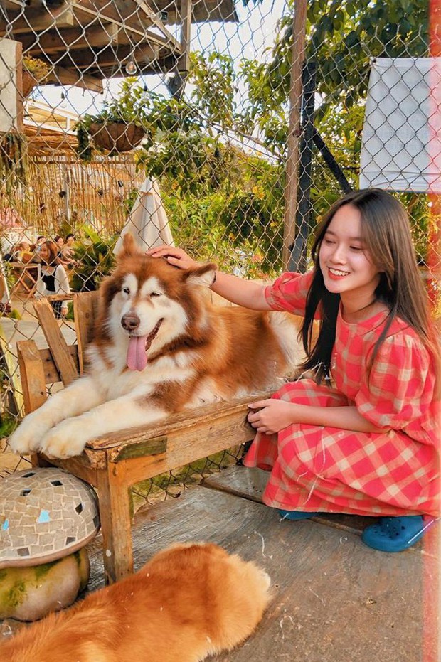 Going to Da Lat to become a "lotus" at 5 super cute dog cafes, now taking pictures to check-in with the new boss is a hot trend!  - Photo 1.