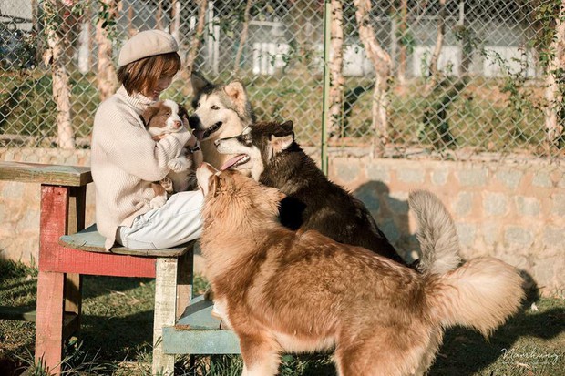 Going to Da Lat to become a "lotus" at 5 super cute dog cafes, now taking pictures to check-in with the new boss is a hot trend!  - Photo 3.