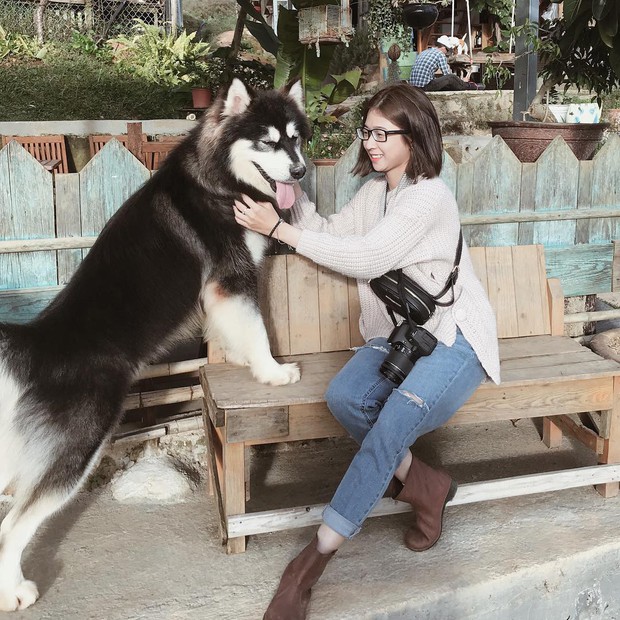 Going to Da Lat to become a "lotus" at 5 super cute dog cafes, now taking pictures to check-in with the new boss is a hot trend!  - Photo 25.