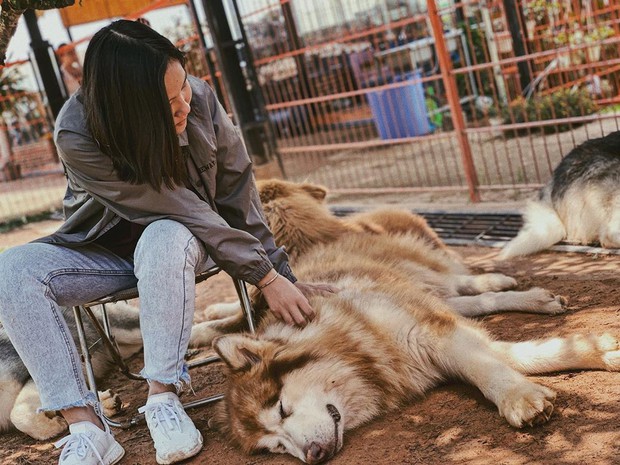 Going to Da Lat to become a "lotus" at 5 super cute dog cafes, now taking pictures to check-in with the new boss is a hot trend!  - Photo 20.