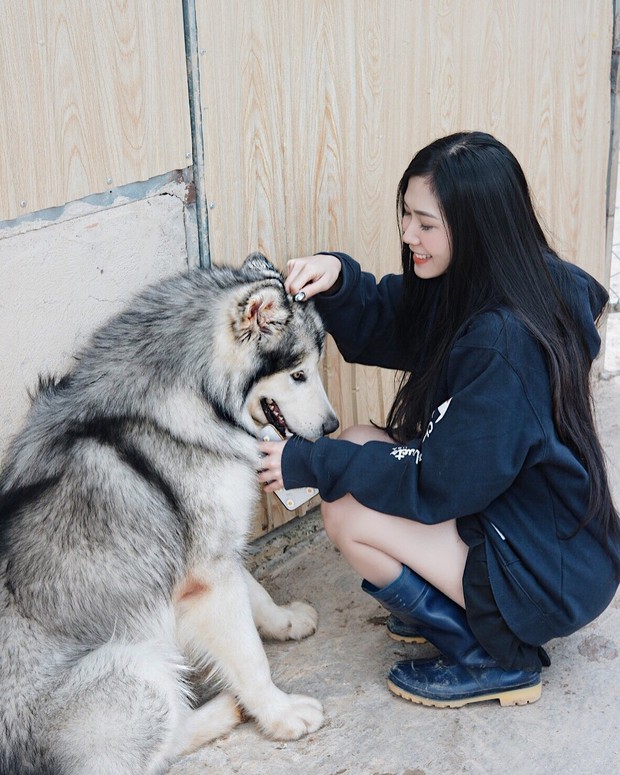 Going to Da Lat to become a "lotus" at 5 super cute dog cafes, now taking pictures to check-in with the new boss is a hot trend!  - Photo 24.