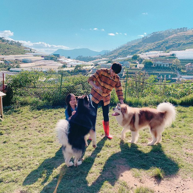 Going to Da Lat to become a "lotus" at 5 super cute dog cafes, now taking pictures to check-in with the new boss is a hot trend!  - Photo 23.