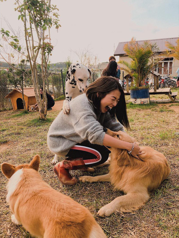 Going to Da Lat to become a "lotus" at 5 super cute dog cafes, now taking pictures to check-in with the new boss is a hot trend!  - Photo 9.