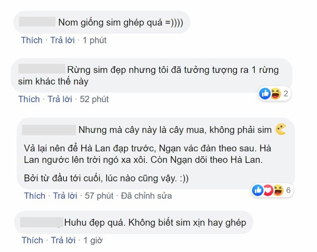 Đại chiến phim Việt mùa cuối năm 2019: Tình học trò Mắt Biếc có làm lại tình thù của Chị Chị Em Em? - Ảnh 8.