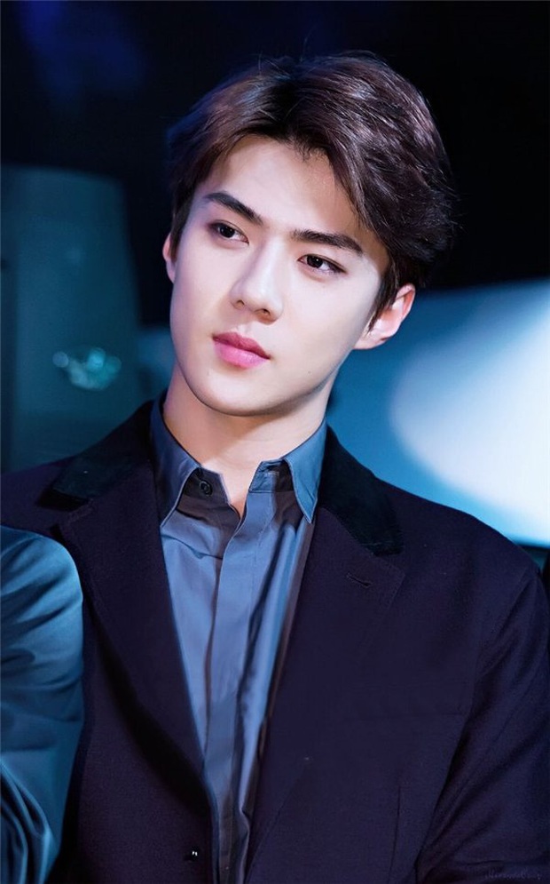 100 gương mặt nam thần đẹp nhất châu Á: Sehun chịu thua mỹ nam Trần Tình Lệnh, Sơn Tùng M-TP bất ngờ lọt top - Ảnh 3.
