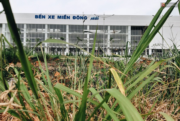 Bến xe Miền Đông mới trị giá 4.000 tỉ đồng đã hoàn thành nhưng vẫn án binh bất động, cỏ dại phủ kín xung quanh - Ảnh 2.