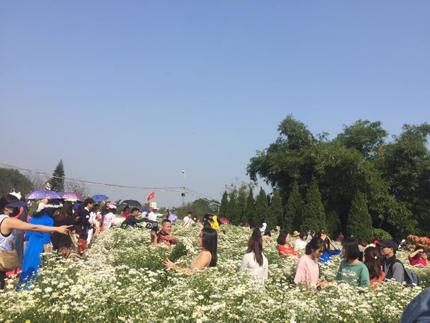 Khung cảnh đông nghịt trong vườn cúc hoạ mi đang gây bão MXH: Khi bạn muốn bắt trend nhưng trend... không bắt bạn! - Ảnh 7.