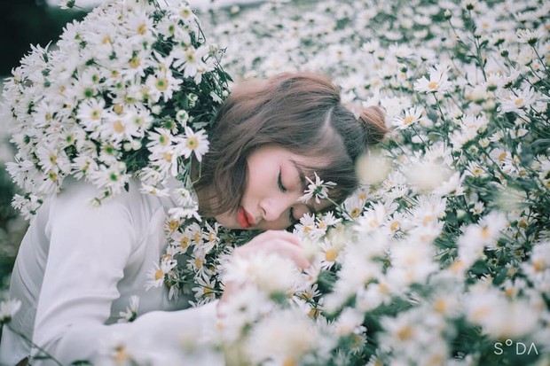 Khung cảnh đông nghịt trong vườn cúc hoạ mi đang gây bão MXH: Khi bạn muốn bắt trend nhưng trend... không bắt bạn! - Ảnh 12.