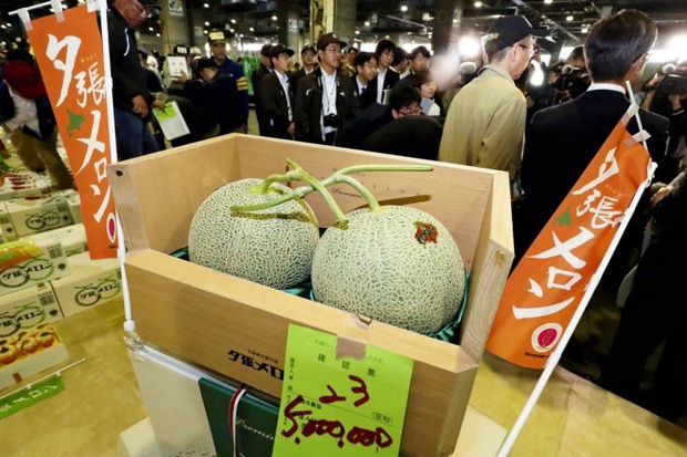 Câu chuyện đằng sau những trái dưa tiền tỉ của Nhật Bản: Căn nguyên từ tình yêu bất diệt của người trồng cây - Ảnh 2.
