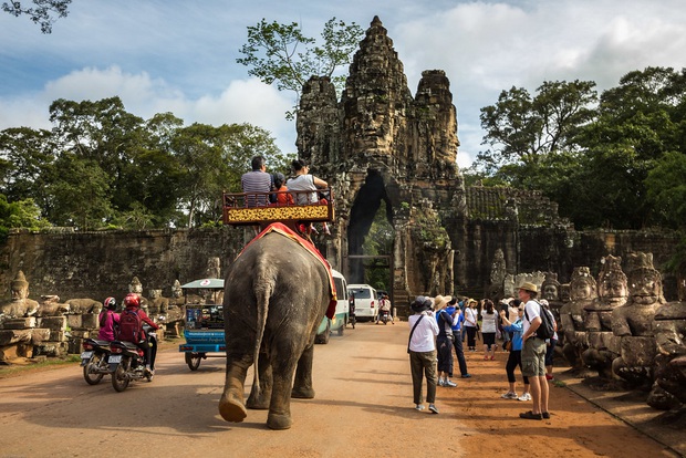 Sau làn sóng phẫn nộ từ dư luận, chính phủ Campuchia chính thức cấm cưỡi voi ở Angkor Wat - Ảnh 3.