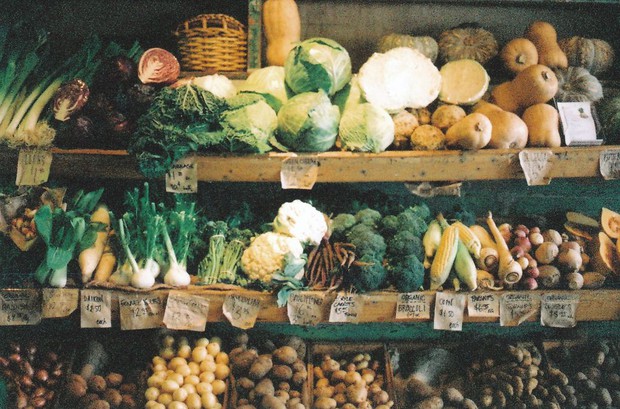 Chuyên gia nói gì về những loại vitamin bạn vẫn được khuyên nên uống thêm viên bổ sung? - Ảnh 5. Chuyên gia nói gì về những loại vitamin bạn vẫn được khuyên nên uống thêm viên bổ sung? - Ảnh 5.