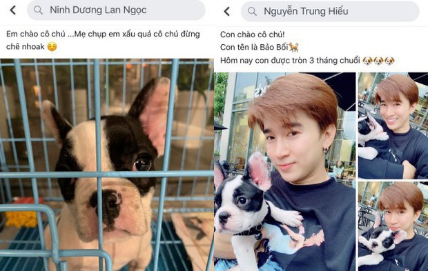 Ninh Dương Lan Ngọc thừa nhận có bạn trai, netizen lập tức lục lại loạt bằng chứng hẹn hò Chi Dân dù một mực phủ nhận - Ảnh 8.