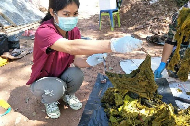 Mổ xác nai 200kg ở Thái Lan nhận được 7kg rác nhựa và cả... quần lót: Đau lòng vì tác động của loài người đã là quá lớn - Ảnh 2.
