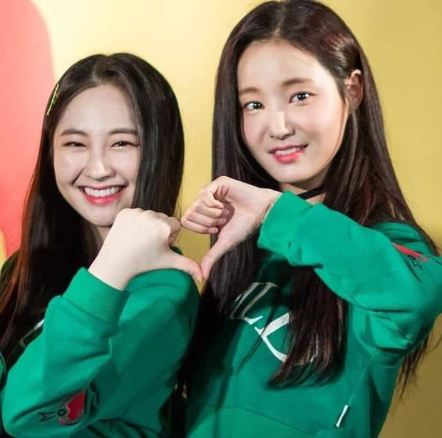 BIẾN GIỮA ĐÊM: 2 thành viên Yeonwoo và Taeha chính thức rời MOMOLAND, trường hợp của Daisy đang xem xét! - Ảnh 1. BIẾN GIỮA ĐÊM: 2 thành viên Yeonwoo và Taeha chính thức rời MOMOLAND, trường hợp của Daisy đang xem xét! - Ảnh 1.
