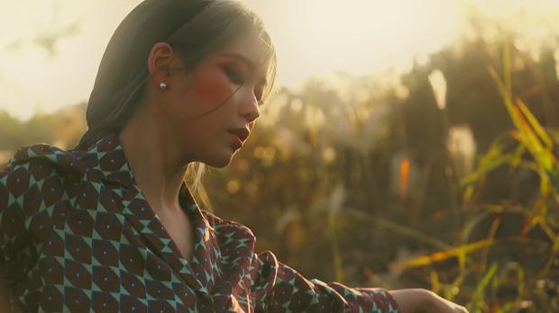 Vừa tung teaser mới và ấn định ngày ra mắt album, Love Poem của IU ẵm luôn Perfect All-kill khiến fan được dịp mở tiệc ăn mừng - Ảnh 4.