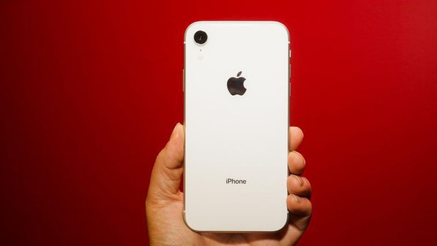 So sánh iPhone 11 với ma thuật Deep Fusion và iPhone XR, mèo nào cắn mỉu nào? - Ảnh 1.