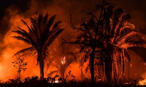 Vô duyên vô cớ bị đổ thừa đốt rừng Amazon, tài tử Leonardo DiCaprio phản ứng mạnh mẽ đáp lại Tổng thống Brazil - Ảnh 2.