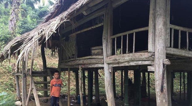 Nhóm từ thiện muốn dựng lại nhà cho “cậu bé sống cô độc trong rừng” - Ảnh 2.