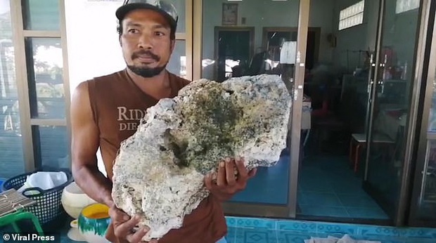 Anh chàng nhặt rác trên biển vô tình trở thành triệu phú sau khi tìm thấy được bãi nôn trị giá 16 tỷ của cá voi - Ảnh 2. Anh chàng nhặt rác trên biển vô tình trở thành triệu phú sau khi tìm thấy được bãi nôn trị giá 16 tỷ của cá voi - Ảnh 2.