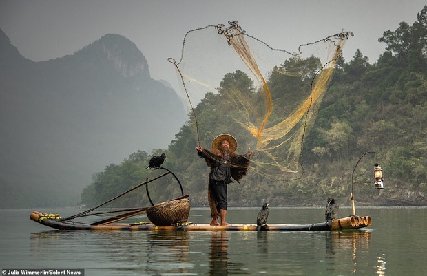 Loạt hình ảnh lão ngư bắt cá bằng chim cốc độc đáo khó rời mắt trong khung cảnh đẹp như tranh thuỷ mặc - Ảnh 6.