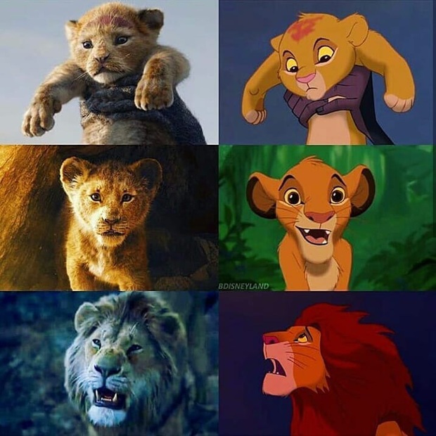 Rốt cuộc The Lion King là phim hoạt hình hay live-action, tới chính mẹ đẻ Disney còn không biết nữa là! - Ảnh 1.