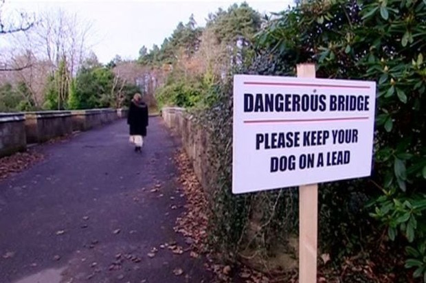 Tôi mang cô chó bị trầm cảm đến cây cầu từng có 600 con chó tự tử, và đây là những gì đã xảy ra - Ảnh 2.