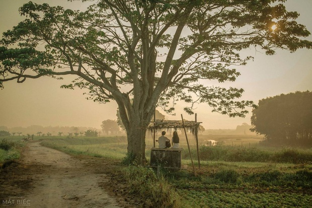 6 bộ phim giúp điện ảnh Việt tăng hạng năm 2019: Đầu năm Hai Phượng soán ngôi, cuối năm Chị Chị Em Em - Mắt Biếc cung đấu - Ảnh 22.