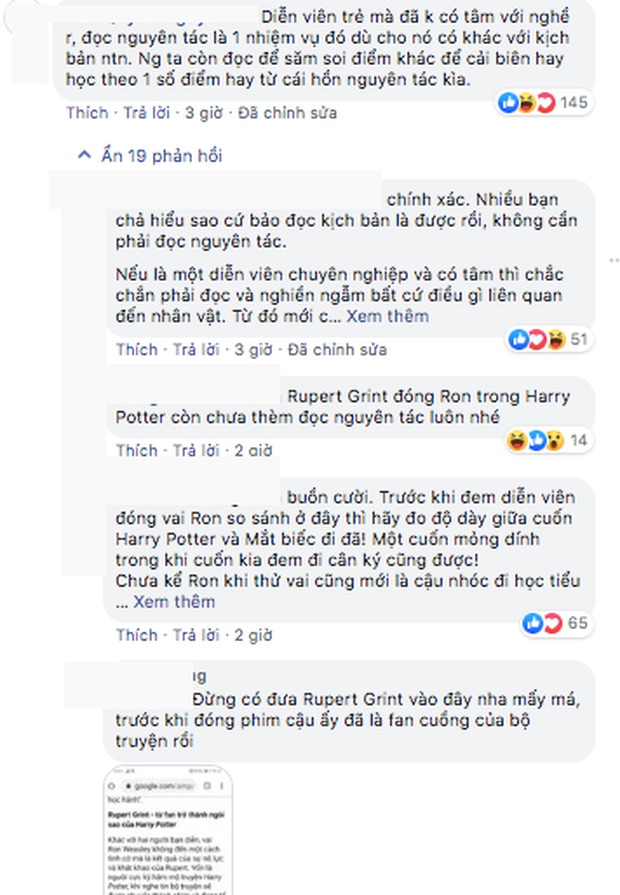 Phát ngôn Hà Lan là người hướng nội, nữ chính Mắt Biếc gây phẫn nộ fan nguyên tác - Ảnh 7.