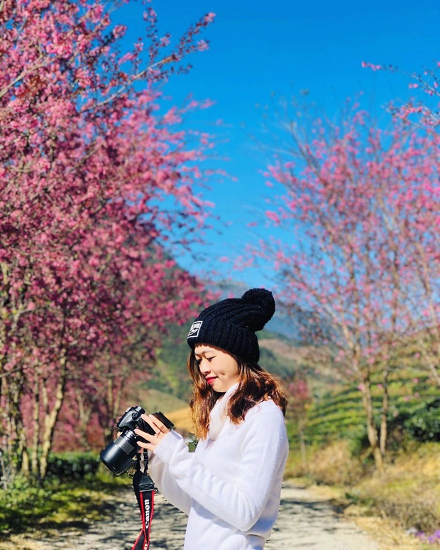 HOT: Quá đông người check-in, đồi chè ngập tràn mai anh đào ở Sa Pa chính thức cấm cửa khách tham quan khiến dân mạng tiếc nuối - Ảnh 5.