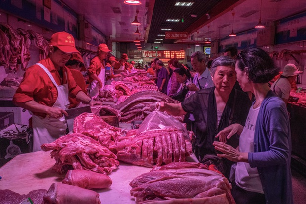 Lợi dụng dịch tả lợn, tội phạm Trung Quốc dùng đủ chiêu trò để trục lợi, từ vứt mầm bệnh vào chuồng lợn đến bán thịt nhiễm bệnh ra thị trường - Ảnh 2.