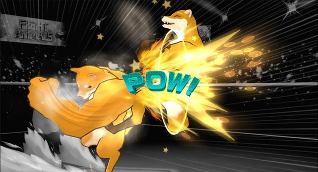 Chó Shiba xoay người đấm móc và Cáo cơ bắp chính thức thượng đài tỷ võ, fan cứng thỏa sức biến hóa! - Ảnh 4. Chó Shiba xoay người đấm móc và Cáo cơ bắp chính thức thượng đài tỷ võ, fan cứng thỏa sức biến hóa! - Ảnh 4.