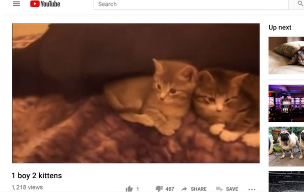 Cả thế giới sục sôi vì kẻ giết mèo trên mạng trong phim tài liệu Dont F**k With Cats - Ảnh 6.