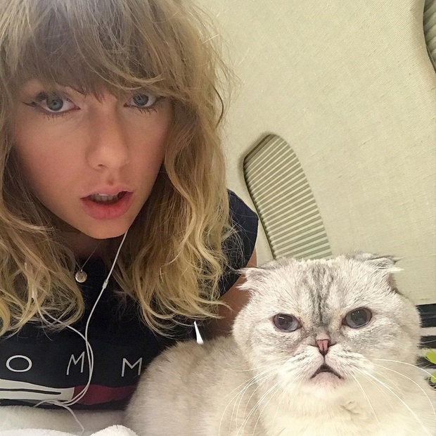 Vì quá cuồng hoàng thượng, Taylor Swift bất chấp đâm đầu đóng mèo hai chân không mặc nội y ở Cats - Ảnh 4.