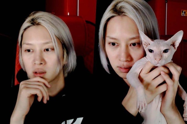 Heechul xác nhận nuôi thú cưng của Sulli, tiết lộ từng khóc không dứt vì tình trạng của chú mèo đắt nhất nhì hành tinh - Ảnh 1.