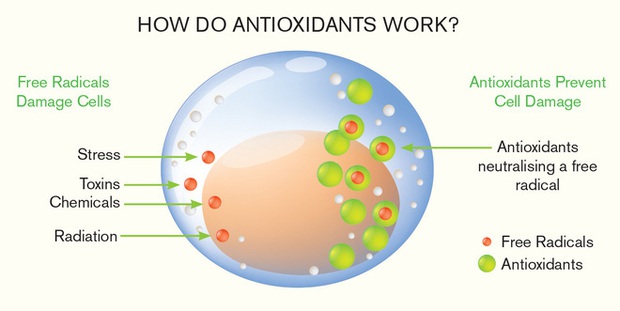 Không chỉ giúp giảm cân hiệu quả, chế độ ăn keto có giúp bạn detox hiệu quả? - Ảnh 3.