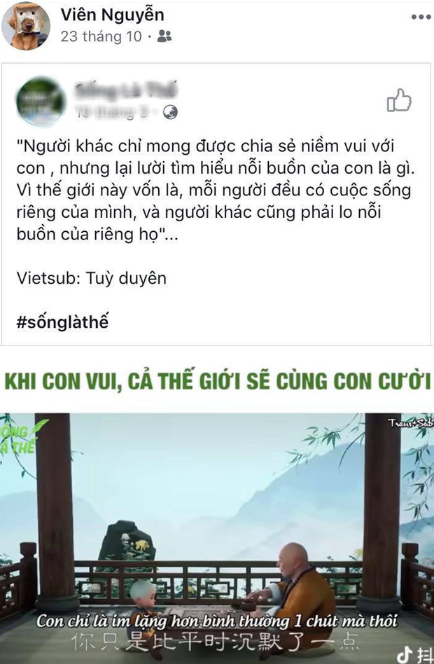 Trước giờ bơi SEA Games, tiểu tiên cá Ánh Viên vẫn ngập trong nỗi buồn và sự cô đơn - Ảnh 12.