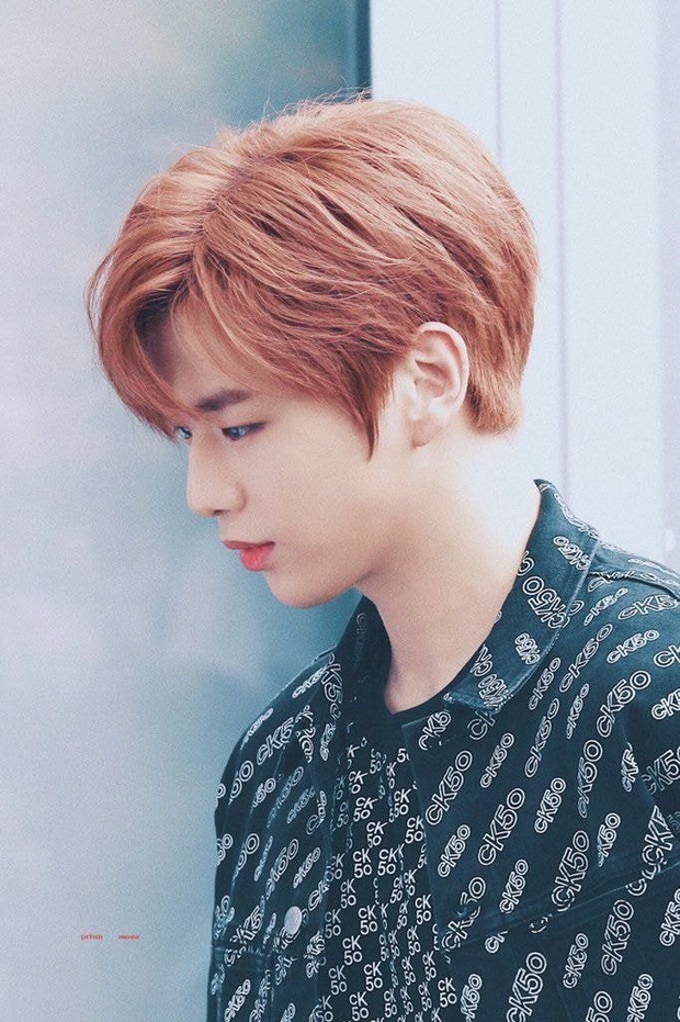 Kang Daniel tuyên bố bị trầm cảm và rối loạn hoảng sợ sau lùm xùm gian lận, thêm nạn nhân của Knet sau Goo Hara và Taeyeon? - Ảnh 1.