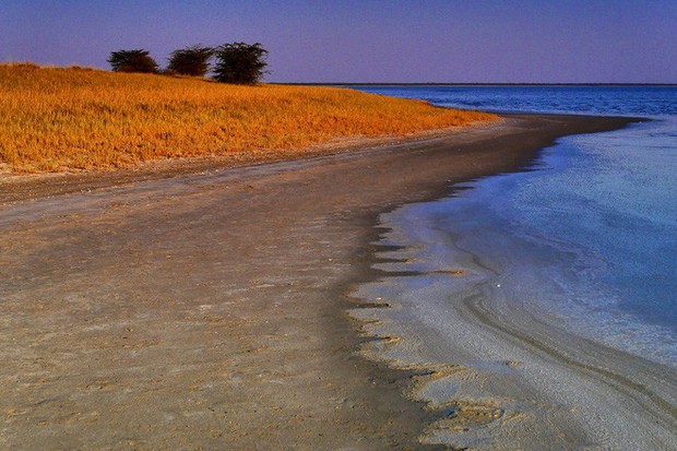 Choáng với sự sống đẹp huy hoàng tại chảo muối được mệnh danh là Vùng đất chết - Ảnh 9.