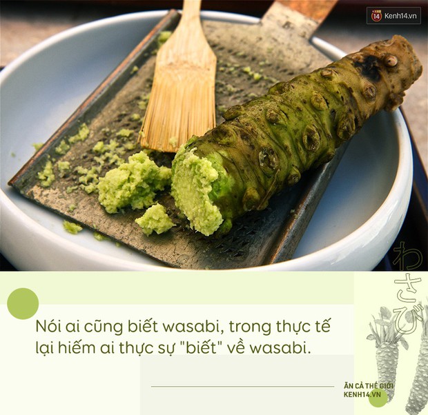 Sự thật đằng sau wasabi: thứ gia vị tưởng chừng như bình dị nhưng lại quý đến mức được người Nhật dùng để nộp thuế thay vàng - Ảnh 1.