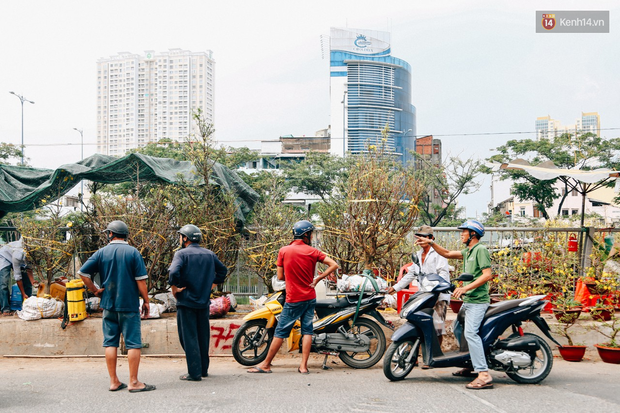 Chợ hoa Bến Bình Đông: Người Sài Gòn chi chục triệu chở Tết về nhà - Ảnh 3.