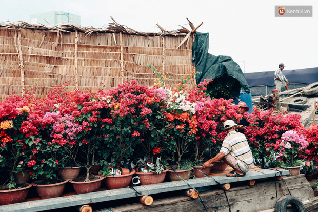 Chợ hoa Bến Bình Đông: Người Sài Gòn chi chục triệu chở Tết về nhà - Ảnh 11.
