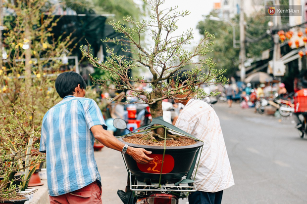 Chợ hoa Bến Bình Đông: Người Sài Gòn chi chục triệu chở Tết về nhà - Ảnh 4.