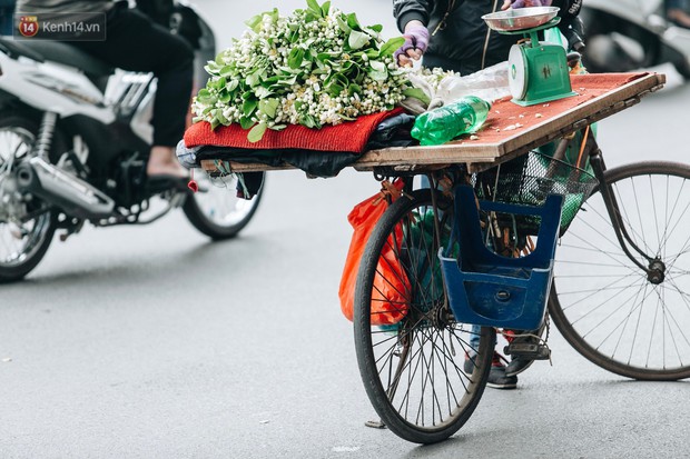 Hoa bưởi tháng 2 theo gió xuống phố Hà Nội, giá lên đến 300.000 đồng/kg vẫn cháy hàng - Ảnh 12.