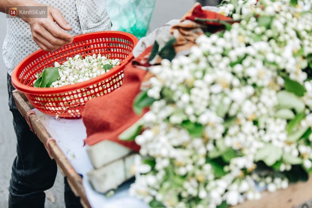 Hoa bưởi tháng 2 theo gió xuống phố Hà Nội, giá lên đến 300.000 đồng/kg vẫn cháy hàng - Ảnh 11.
