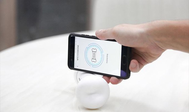 Nếu sen bận rộn quá, đã có khúc xương tự động chạy tới chạy lui để boss chơi cho đỡ buồn! - Ảnh 4.