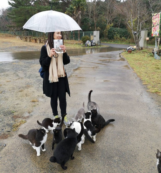 Đến thăm đảo mèo lớn nhất Nhật Bản, hội con sen đến đây thì đảm bảo sướng phát ngất! - Ảnh 5.