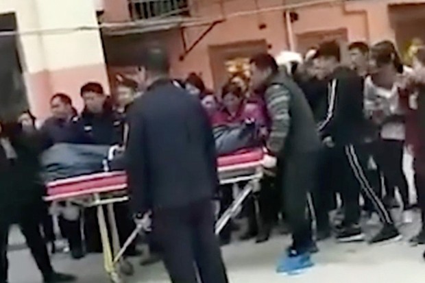Trung Quốc: Cậu bé 13 tuổi giết chết mẹ vì chú chó cưng - Ảnh 1.