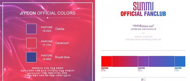 Trước lùm xùm Jiyeon và Sunmi, hóa ra chẳng thiếu những lần fandom Kpop chiến nhau cực căng chỉ vì tranh giành màu sắc! - Ảnh 1.